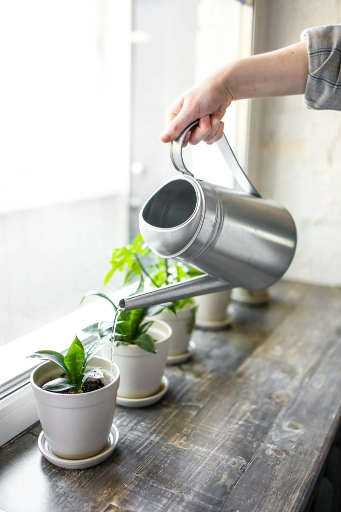 Long-spout watering can