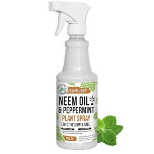 Mighty Mint – Plant Protection & Nutrient Spray (Peppermint Oil/Neem Blend)